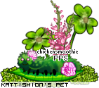 Dressed pet