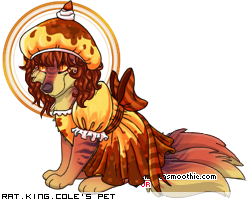 Dressed pet
