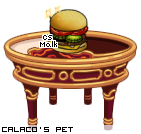 Dressed pet