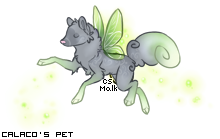 Dressed pet
