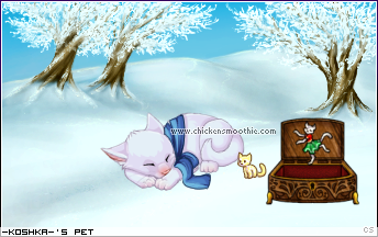 Dressed pet
