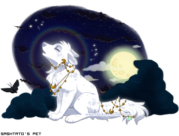 Dressed pet