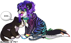 Dressed pet