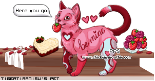 Dressed pet