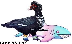 Dressed pet