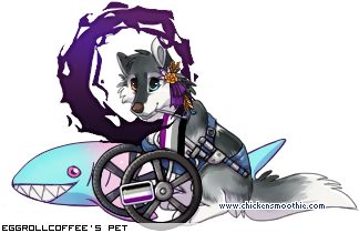 Dressed pet
