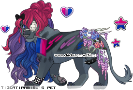 Dressed pet