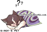 Dressed pet