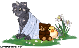 Dressed pet