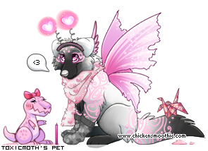 Dressed pet