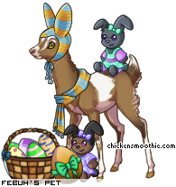 Dressed pet