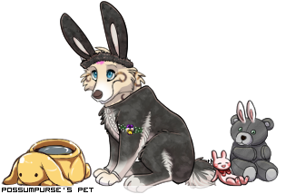Dressed pet