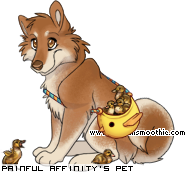 Dressed pet