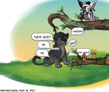 Dressed pet