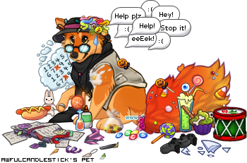 Dressed pet