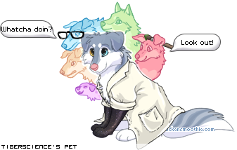 Dressed pet