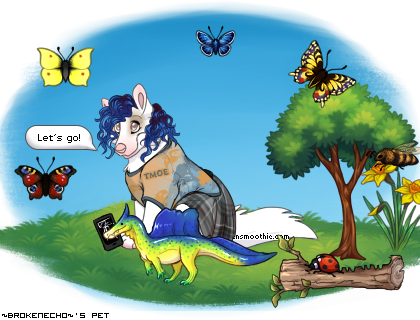 Dressed pet