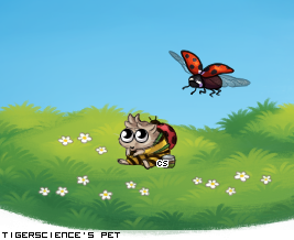 Dressed pet