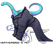 Dressed pet
