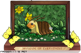 Dressed pet