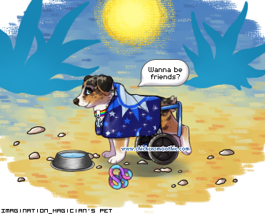 Dressed pet