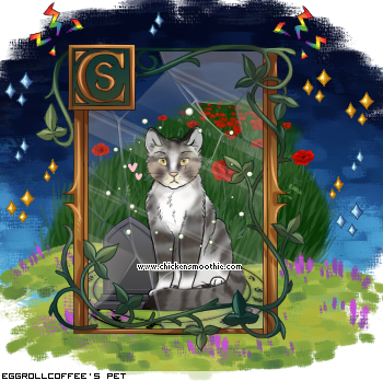 Dressed pet