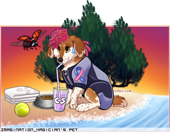 Dressed pet