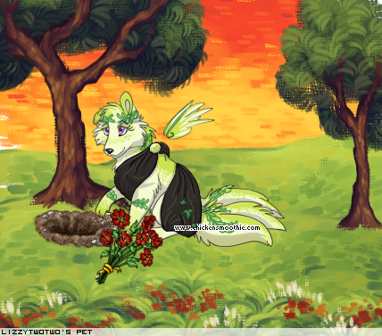 Dressed pet