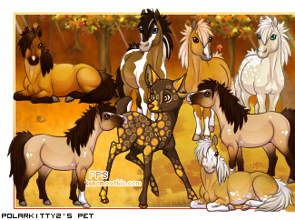 Dressed pet