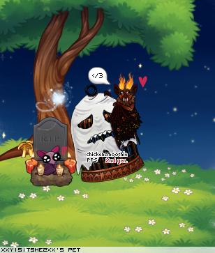 Dressed pet