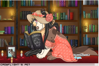 Dressed pet