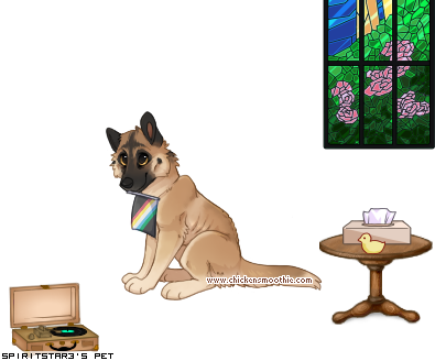 Dressed pet