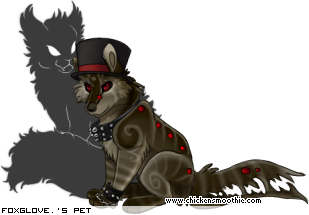 Dressed pet