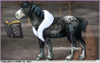 Dressed pet