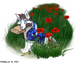 Dressed pet