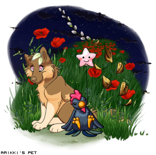 Dressed pet