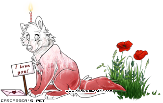 Dressed pet
