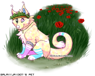 Dressed pet