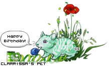 Dressed pet