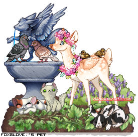 Dressed pet