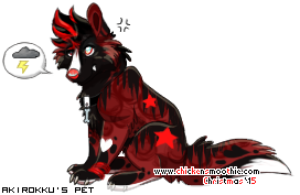 Dressed pet
