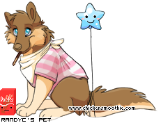 Dressed pet