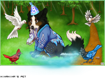 Dressed pet