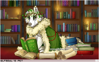 Dressed pet
