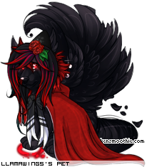 Dressed pet