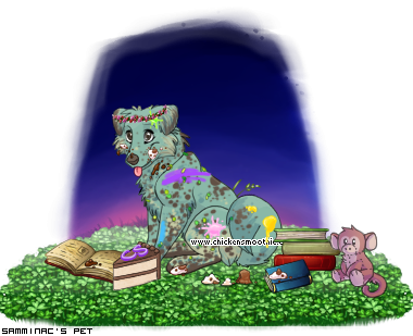 Dressed pet