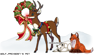 Dressed pet