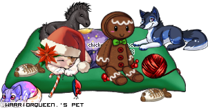 Dressed pet