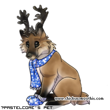 Dressed pet