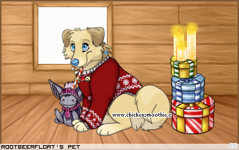 Dressed pet